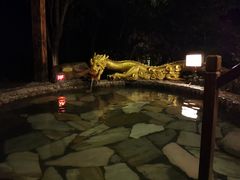 -明月山天沐温泉度假村