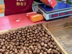 -阿男野栗王(金门路店)