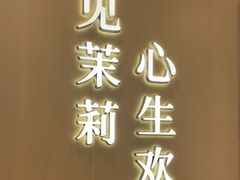 -茉莉奶白(北京新中关店)