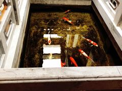 -鲤院·新中式美学·庭院餐厅(夫子庙店)