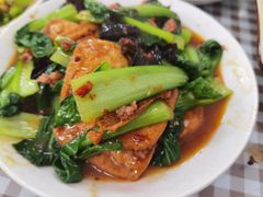 家常豆腐-瑜瑜饭馆