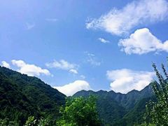 -曲江薰衣草庄园