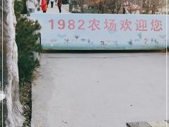 -1982农场