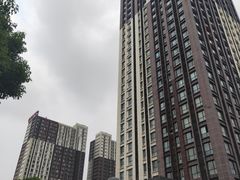 -销魂美蛙鱼头火锅(上海首店)