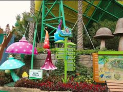 -苏州乐园森林水世界