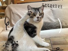 -小时光咖啡馆(开森度假森林店)