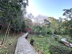 -上海佘山国家森林公园天马山园