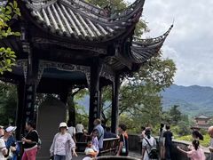 -都江堰中华大熊猫苑