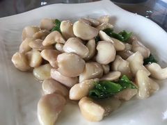 -杨辉饭店