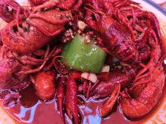 -杨氏青龙虾·羊蝎子(珠江路店)