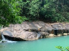 -广州白江湖森林公园