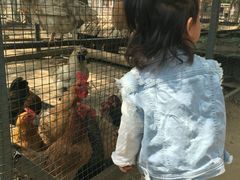 -意大利农场度假村