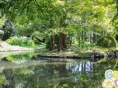 -上海共青森林公园