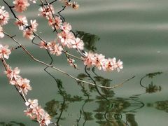 -颐和园