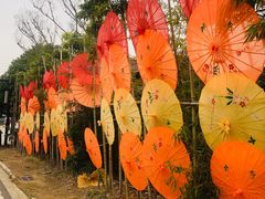 -武汉紫薇都市田园