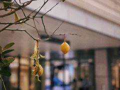-WOKKA by艮上(中海环宇荟店)