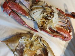 螃蟹-渔民船说·北塘海鲜·天津菜·海肠捞饭(北塘古镇店)