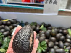 -长洲岛