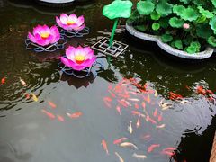 -豫园湖心亭茶楼