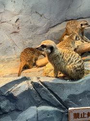 -Zoolung Zoolung动物主题公园(海信广场店)