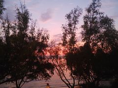 -宝安西湾红树林湿地公园