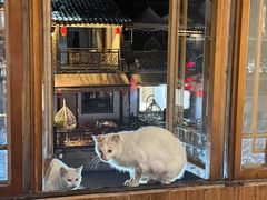 -西塘人家•黑金冠本地好店