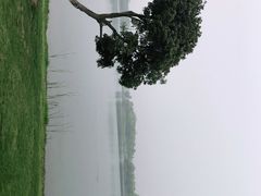 -桐乡凤凰湖