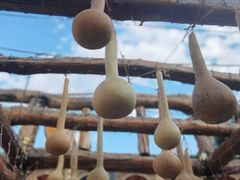 -特克斯八卦城