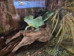 -太奥幻太奇海洋馆