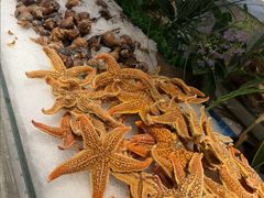 -一方渔歌蒸汽海鲜自助(文化路万达广场店)