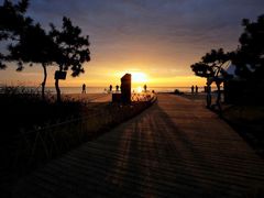 -渡海小渔村.老辈日照菜