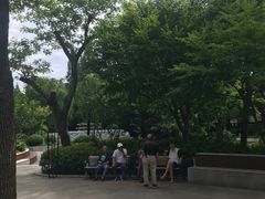-兰溪青年公园