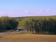 -塞罕坝国家级自然保护区