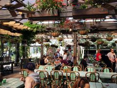 -The Grounds of Alexandria