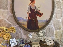 -乡田小墅(展览馆路JK FUN商城店)