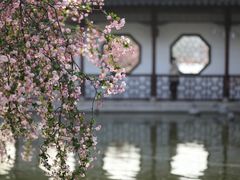 -莫愁湖公园
