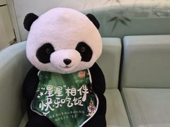 -眉州东坡·熊猫主题餐厅(枫蓝店)