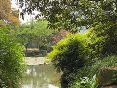 -中国茶叶博物馆(双峰馆区)
