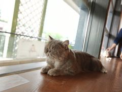 -万达广场(东莞厚街店)