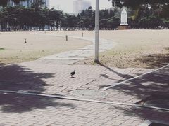 -东北大学(南湖校区)