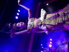 -金东尼人妖秀