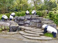 -都江堰中华大熊猫苑