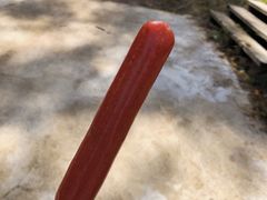 -苏木山森林公园