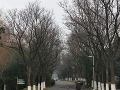 -白塘生态植物园