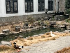 -镇江中国醋文化博物馆