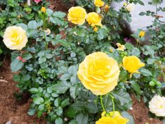 -人民公园(罗湖区)