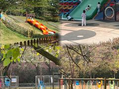 -盈香心动乐园