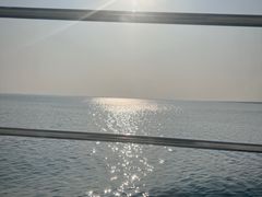 -鄱阳湖国家湿地公园