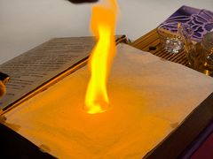 -叶叶菩提(太原别墅店)