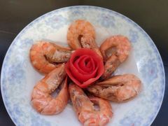 -爱月宝月嫂·育儿嫂